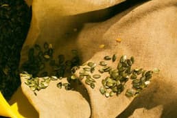 المادة الخام